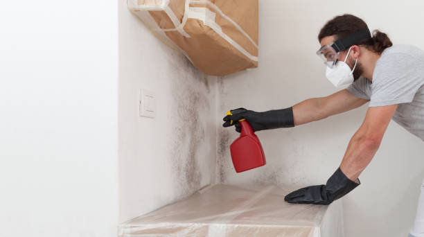 Professional Mold Inspection And Testing technician working in Montvale, NJ